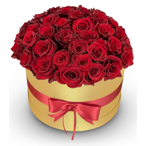 Box červených růží